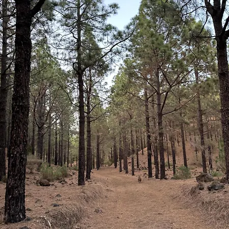 Διαμέρισμα Zulia Suites, Masca, Teide Gigantes, Excursions, Ac, Wifi 1 Santiago del Teide