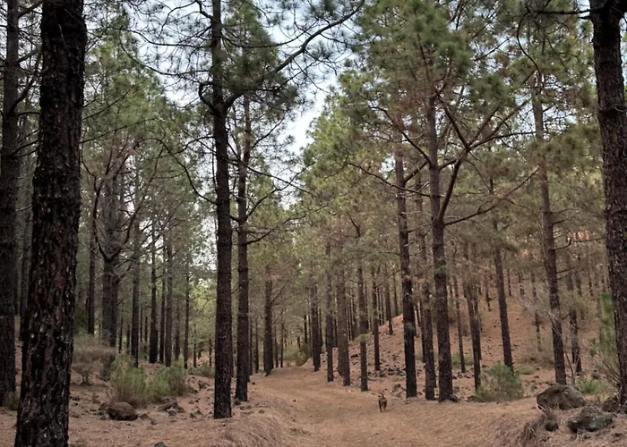 Apartament Zulia Suites, Masca, Teide Gigantes, Excursions, Ac, Wifi 1 Santiago del Teide